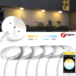 Zigbee-Luz LED CCT para debajo del gabinete, luz cálida + Blanca, Control por voz/aplicación, temperatura de doble Color para Tuya Smartthings Alexa, 3,0