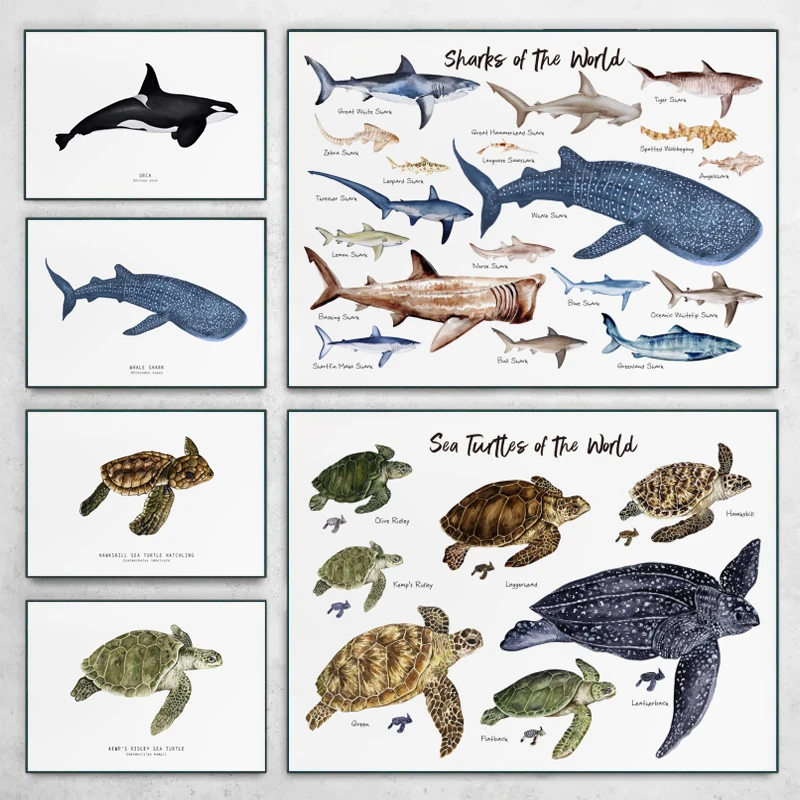 Whale/Shark/Turtles of the World Marine Life Ocean Animals Guide Cartoon Poster Canvas Painting Wall Art Pictures Home Decor