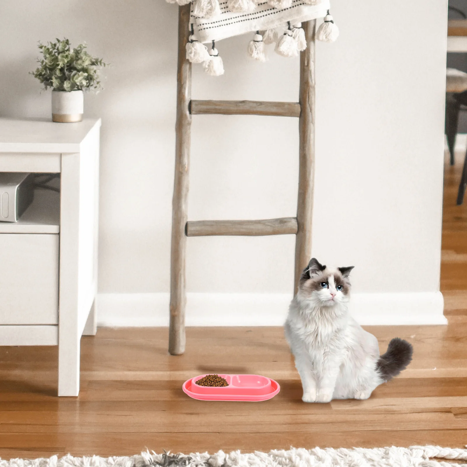 

Pet Double Bowl Ant Proof Cat Food and Water Set Sleek Gray Stylish Home Decor Space Efficient for Cats Dogs Kitten Feeder