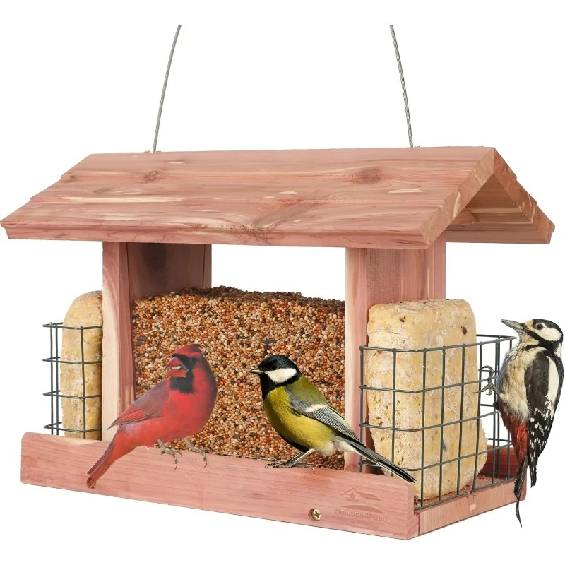 

Outdoor hanging funnel bird feeder