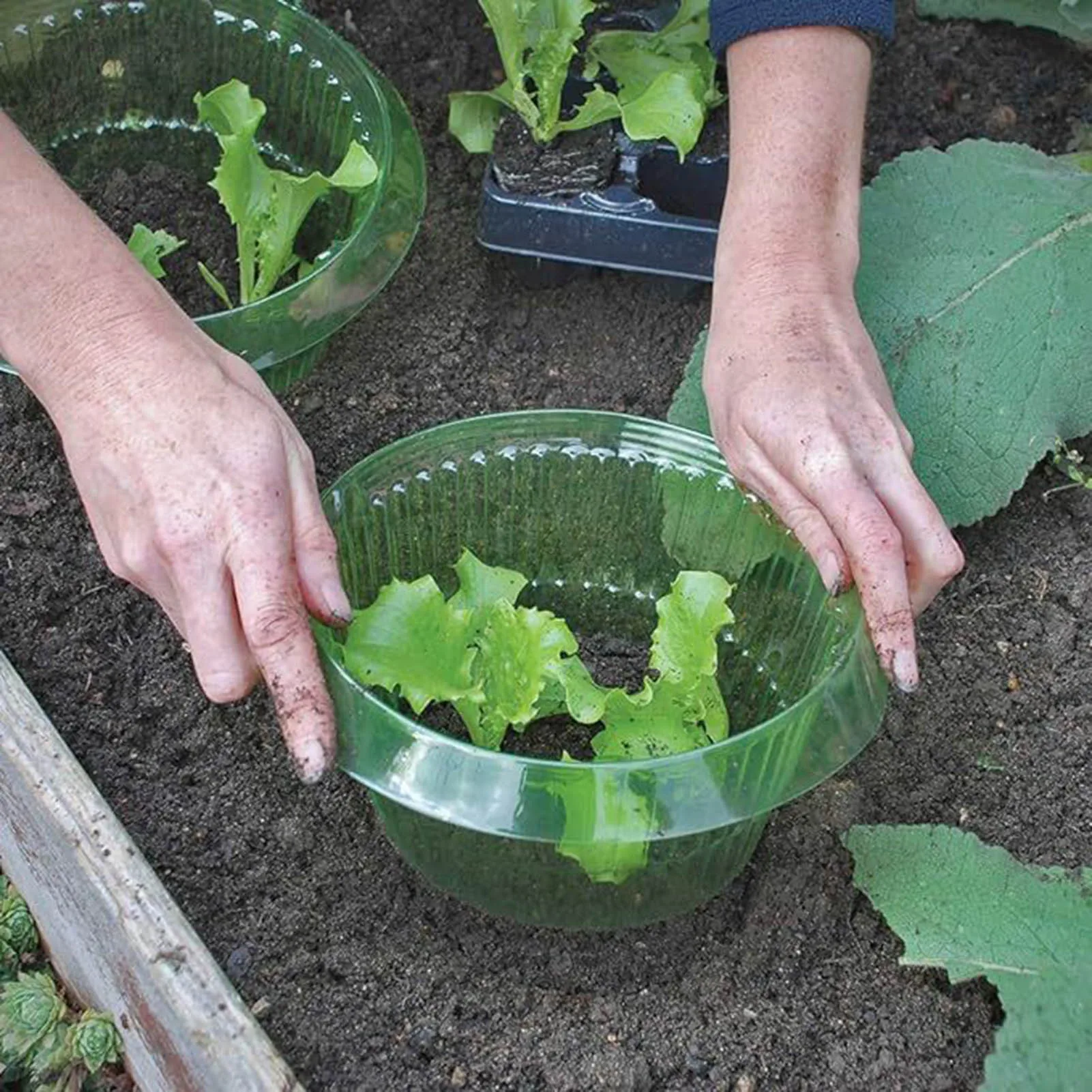 Thumbnail 2 - #13 Compare Plant Pots Before You Buy