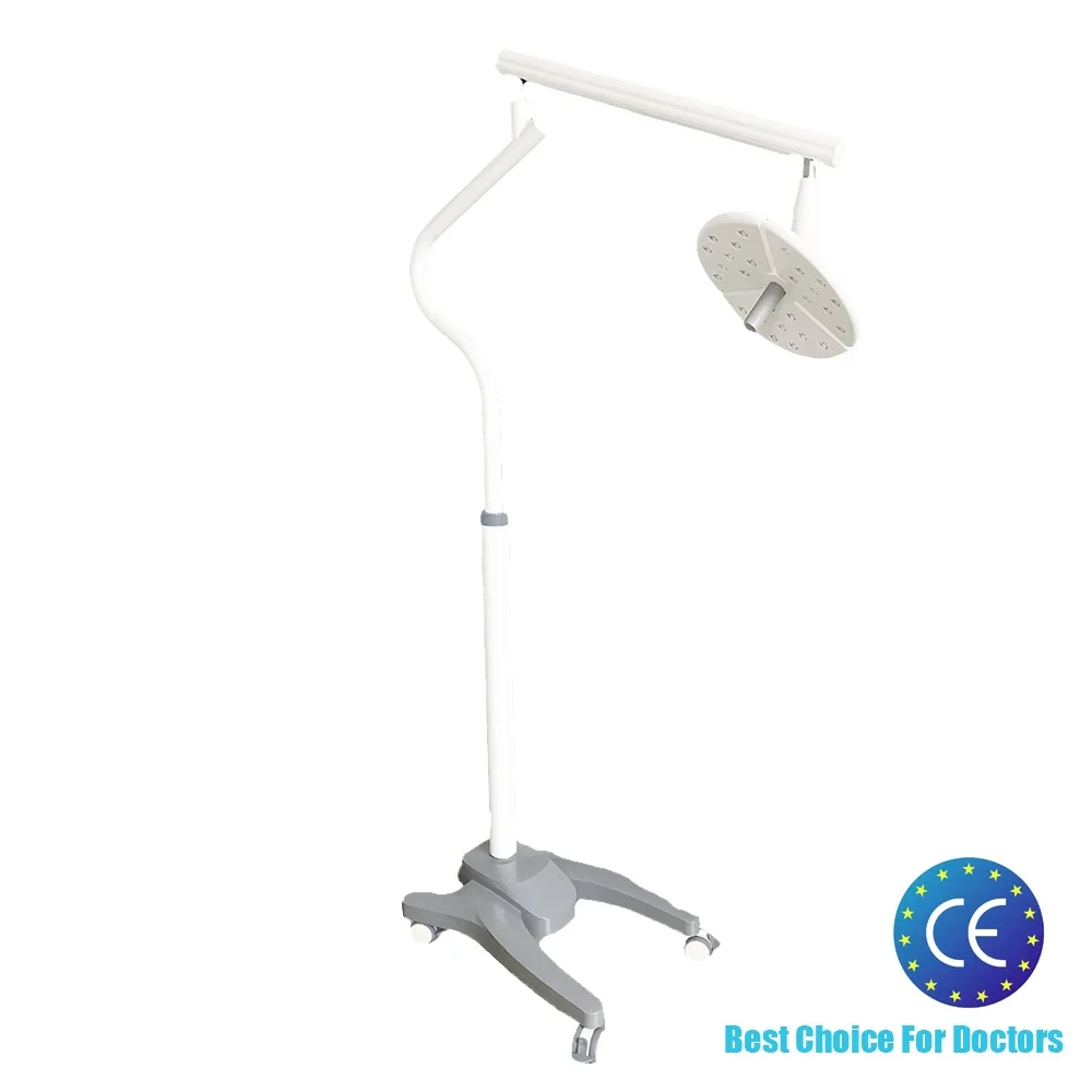 36W Floor Standing LED Vertical Shadowless Operating Lamp Dental Examination Light KD-2018L-1 for Veterinary Procedure