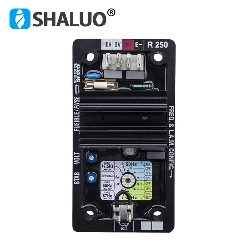 Imagen 2 del producto Suministro de fábrica R250 AVR Leroy Somer generador regulador de voltaje automático estabilizador módulo de Control Panel piezas del generador diésel