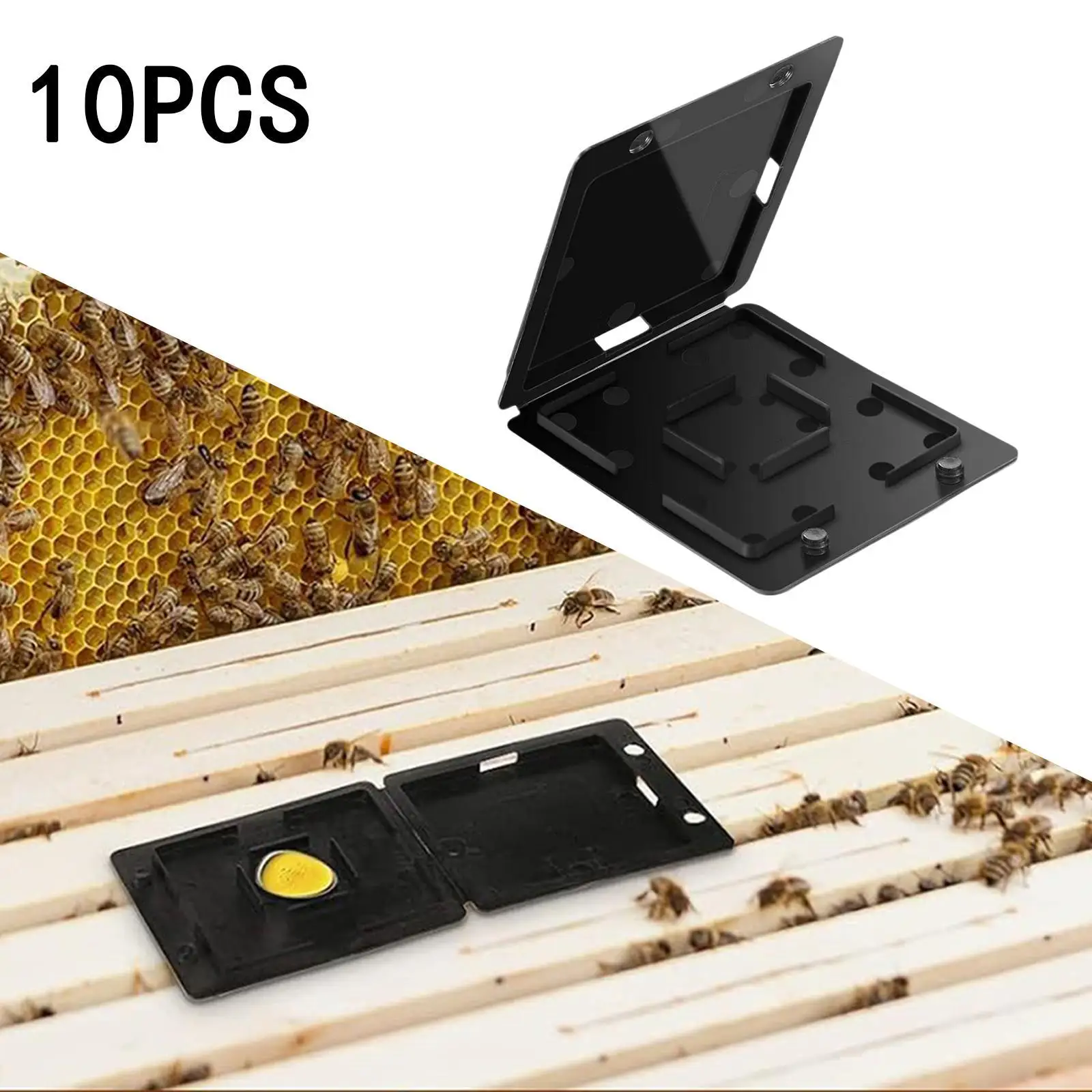 

Black PP Beetle Traps Small Bee Hive Catcher Boxes for Beekeeping Outdoor Hive Tools Reliable Reusable Design