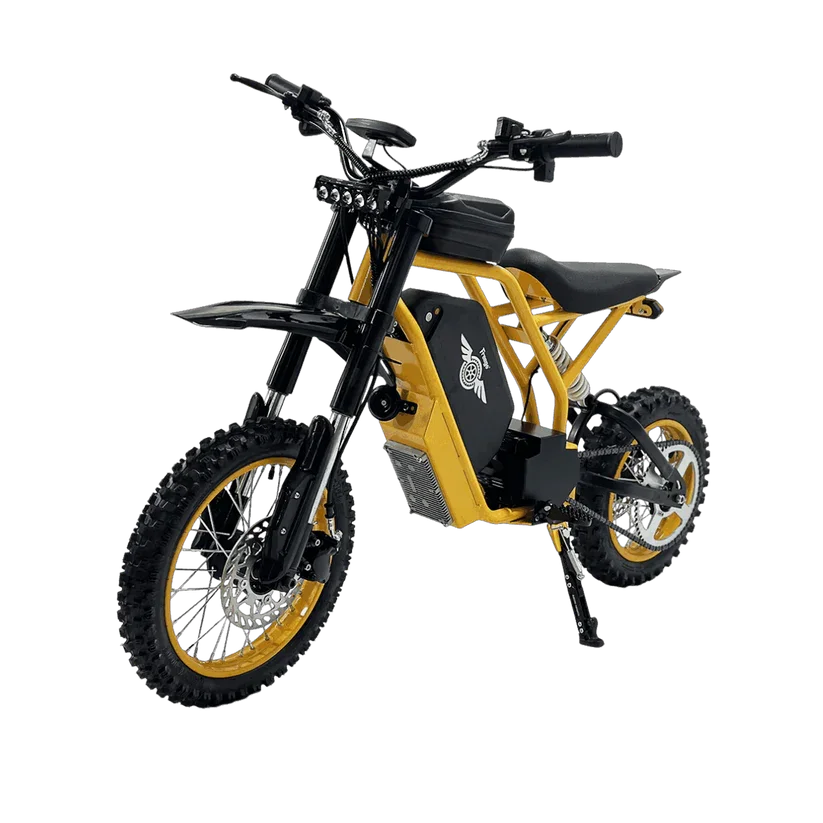 

Freego Electric Dirt Bike for Youth Kids 2800W Mid-Drive Motor 37MPH Top Speed Hydraulic Brake 60V25AH Battery Electric Bicycle