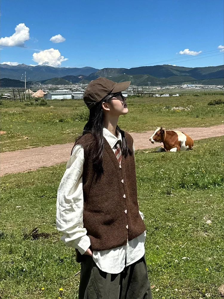 

Loose Knitted Wool Blend Button up Cardigan Vest ex Autumn Wear Layering Youth Faion V Ne Japanese Retro Sle