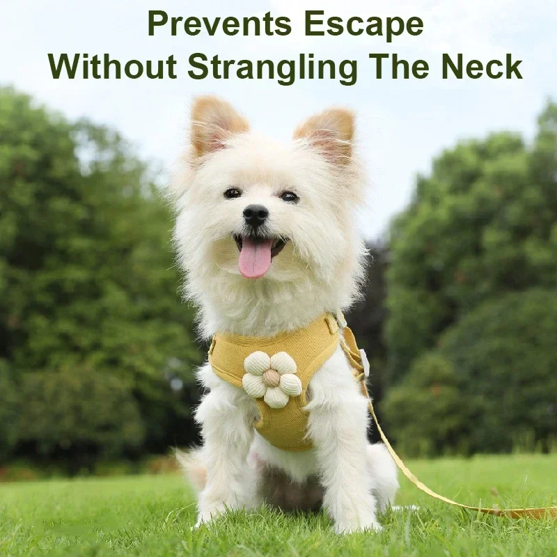 Thumbnail 3 - #79 Best Dog Leads to Buy In 2026