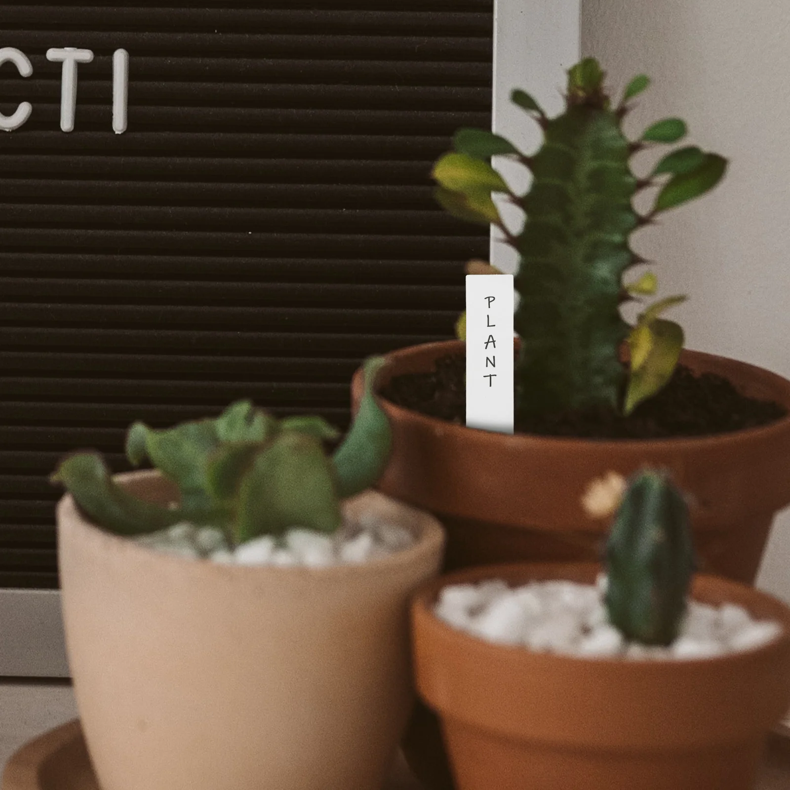 

1Set Plant Labels Kit Modern PVC Garden Label Stakes for Potted Plants Flower Id Markers Nursery Garden Supplies Outdoor Plant