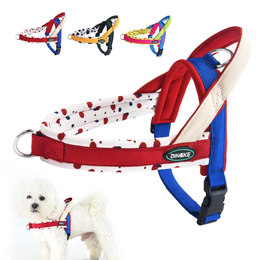 Fashion Pattern No-Pull Dog Harness, Escape Proof Soft Padded Vest with Handle for Small Medium Dogs, Breathable Mesh Outdoor