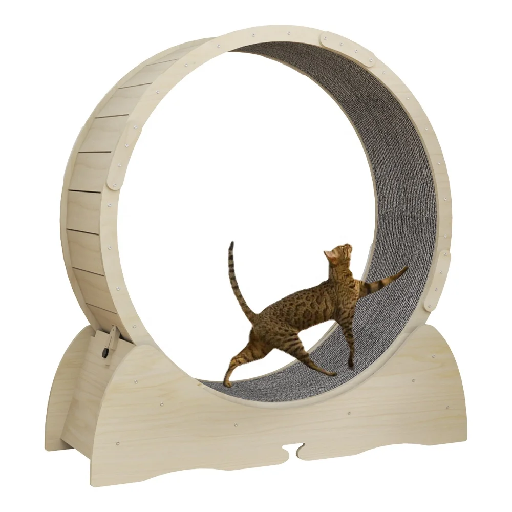 Cat Running Fitness Wheel Cat Playing Pet Fitness Wheel