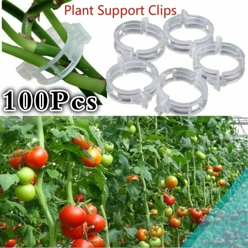 

100Pcs Plastic Plant Support Durable Clear Support Clips Vine Garden Vegetables 23mm for Types Plants Hanging Garden Support