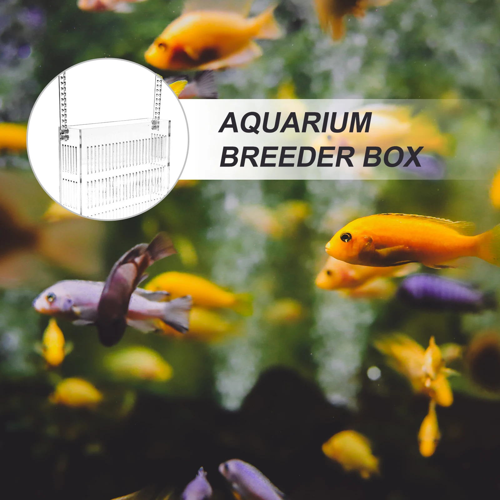 

Hanging Isolation Box Fish Fry In-tank Boxes Terrarium Aquarium Accessories Baby