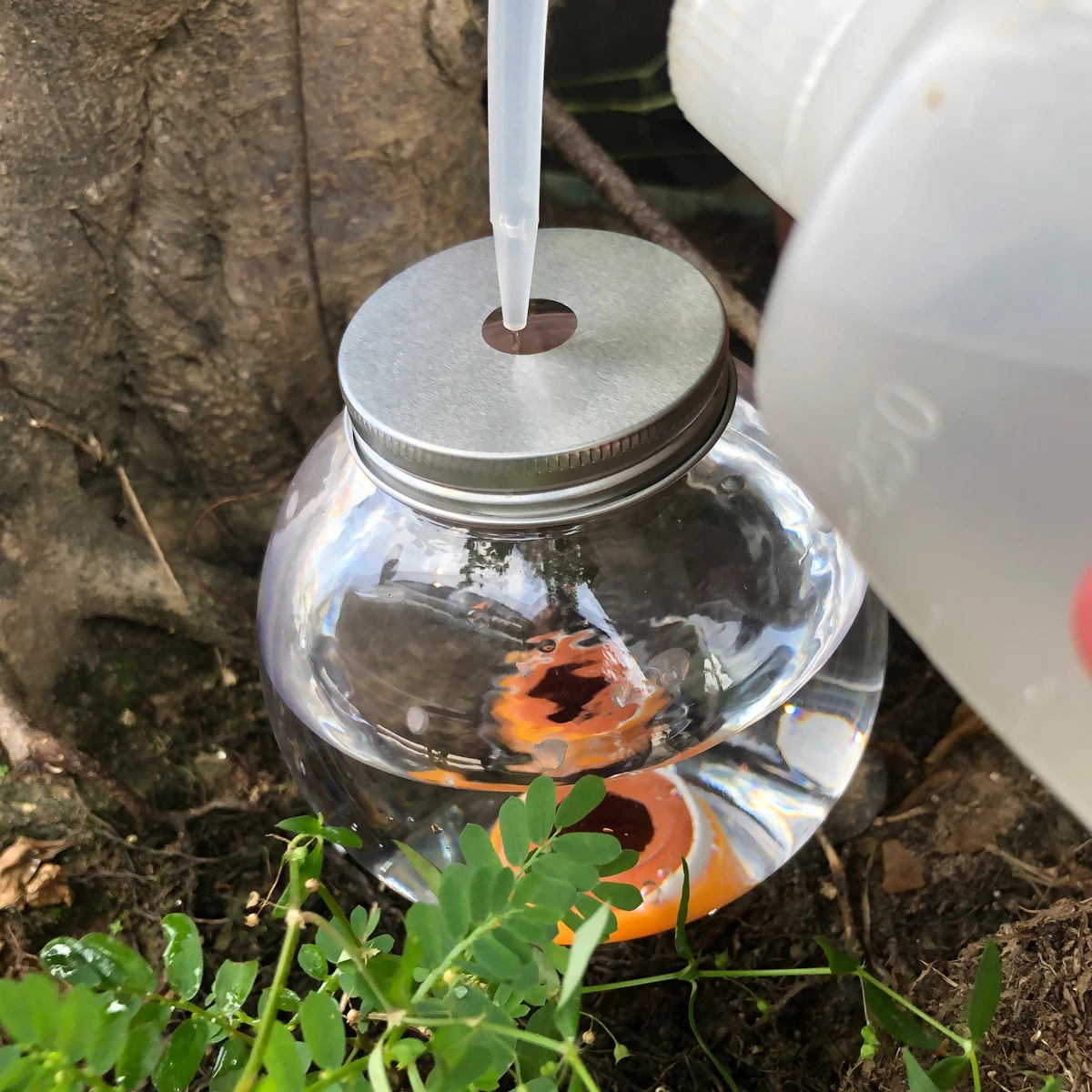 4 قطعة منقطات الري نظام الري في الحديقة مصابيح نباتية ذاتية السقي أوتوماتيكية للنباتات الداخلية والخارجية البلاستيكية #4