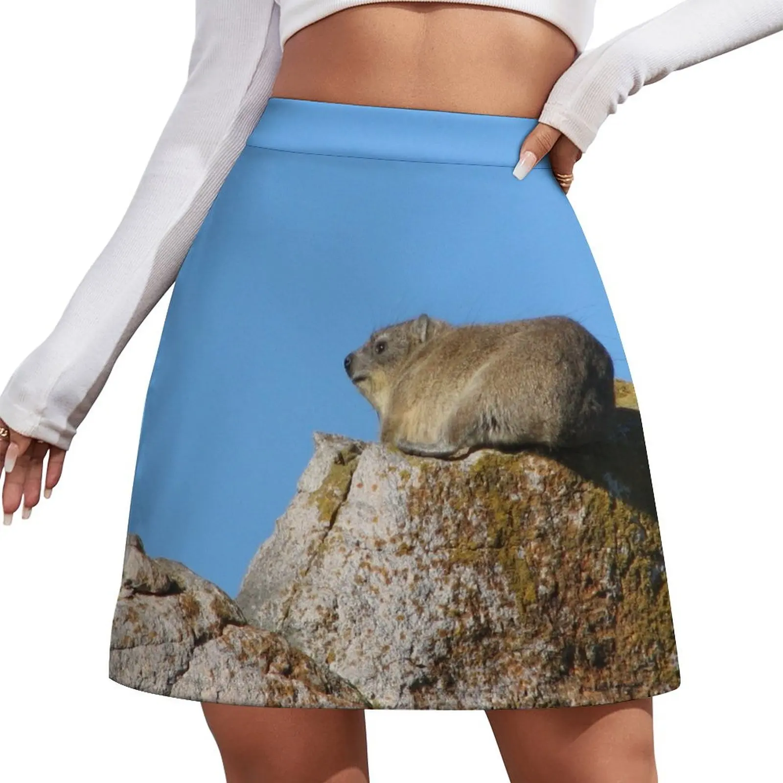 

Cute Dassie Sitting on Rock, Table Mountain, South Africa Mini Skirt skirt sets micro mini skirt extreme