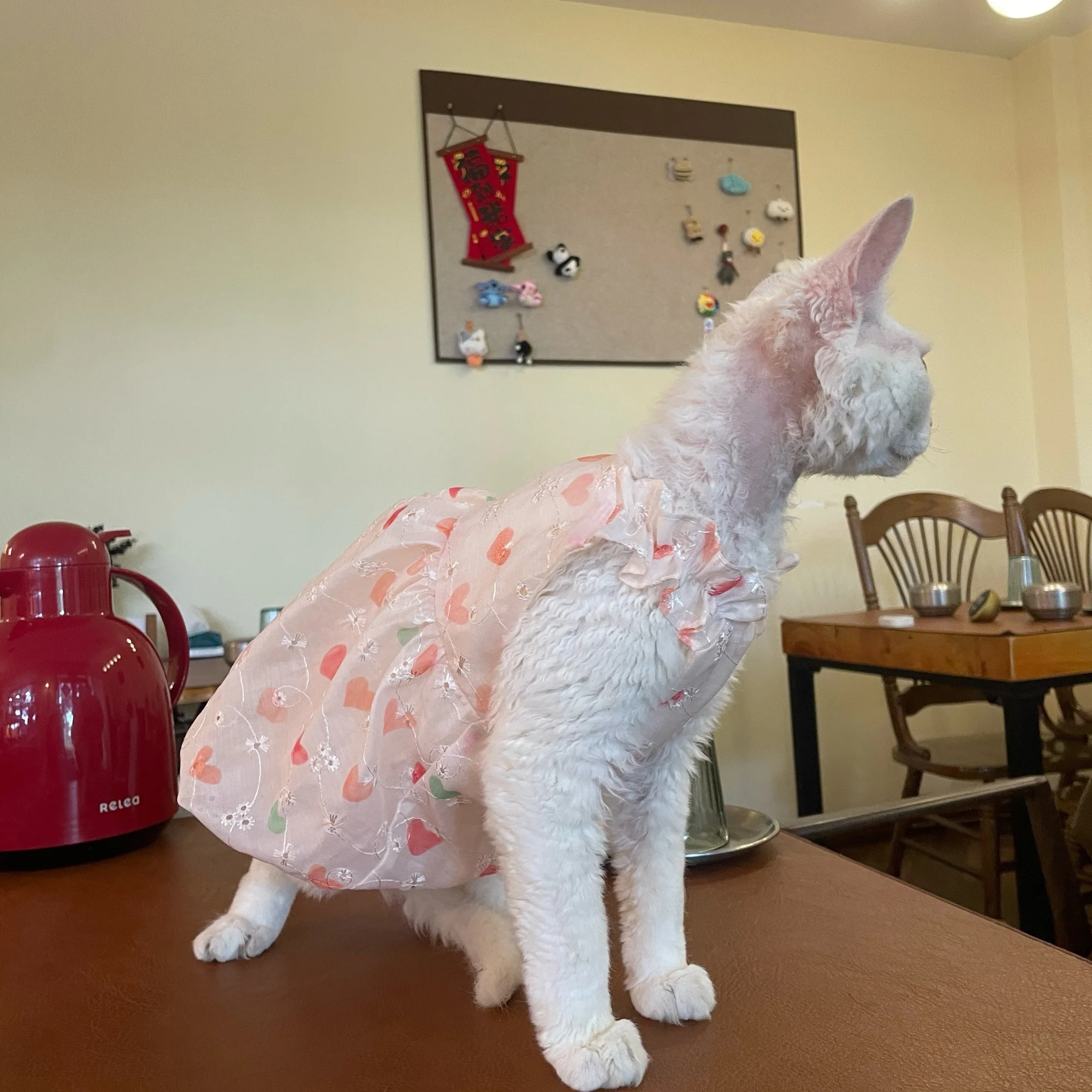Summer Double-sided Princess Dress with Soft Cotton Inside for Sphynx Cat Breathable Sweet Pink Skirt Bow Tiara for Female Cat