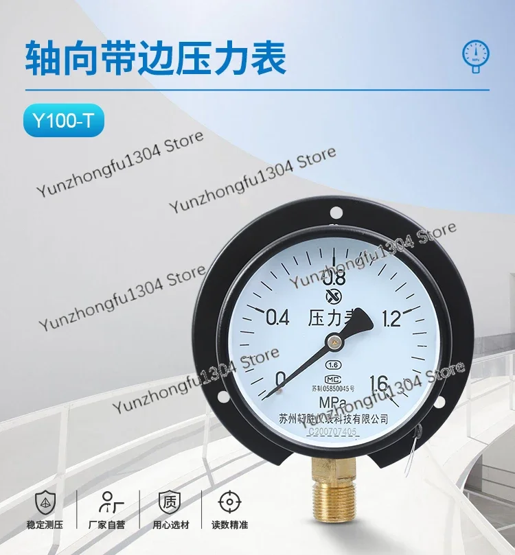 

Y100t 1mpa Radial Belt Rear Fixed Flange Edge Bourdon Gauge