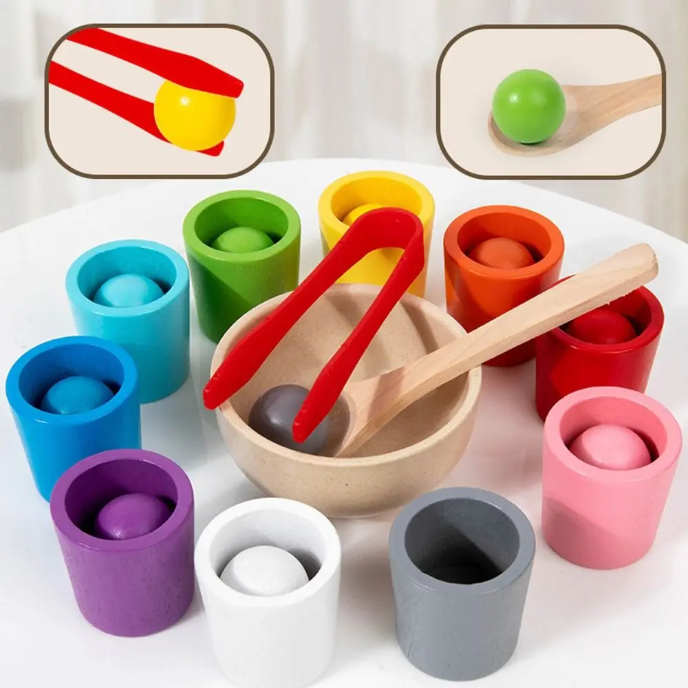 

Multicolor Montessori Wooden Toy Wood Sorting Excercise Color Cups Matching Game Cognitive Training Color Matching
