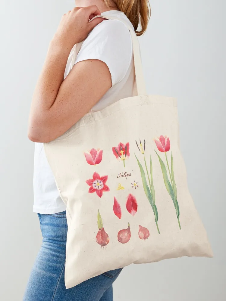 Botanical Set of Tulip. Watercolor illustration. Tote Bag tote bag women Big bag Eco