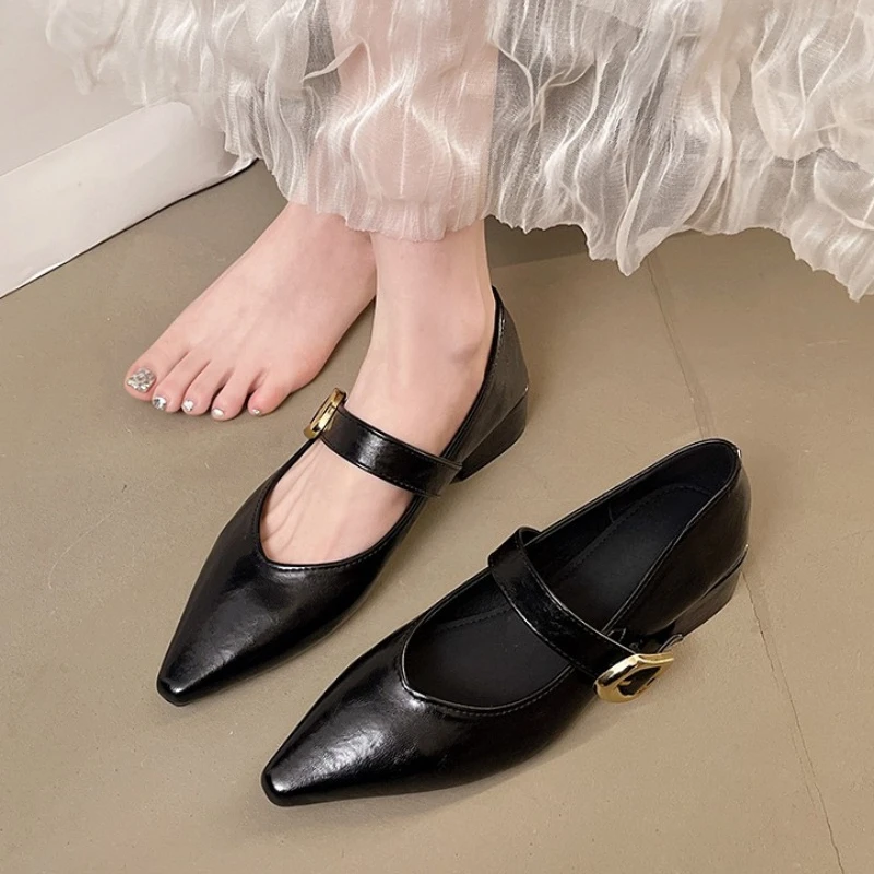 2026 Spring Pointed…