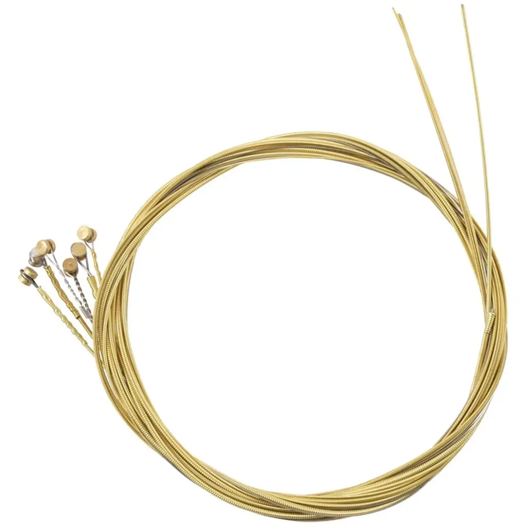 Acoustic Guitar s Replacements Accessories , Offer Warm, -Balanced