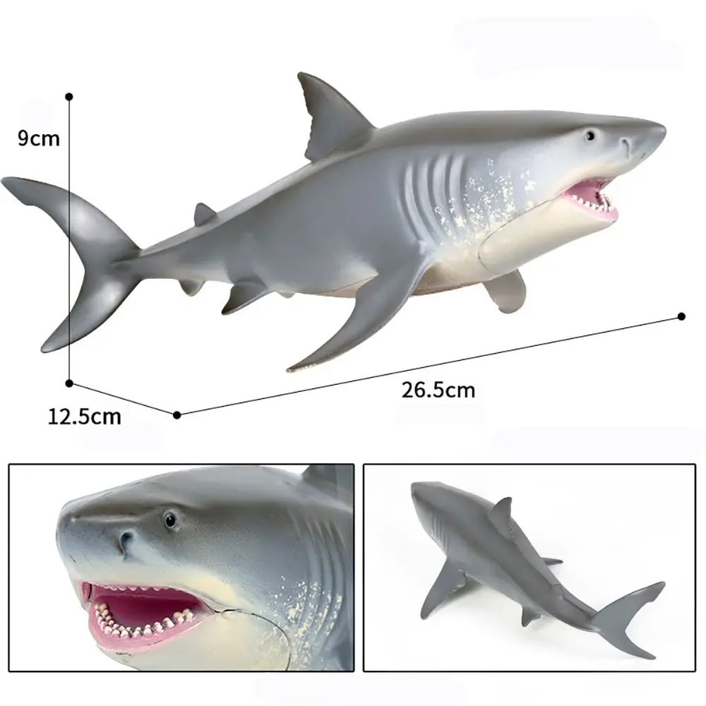 Juguete educativo cognitivo natural para niños, figuras de organismo marino de aprendizaje temprano, simulación Sealife, grandes modelos de tiburones blancos