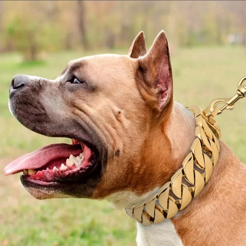 Heavy Duty Metal Dog Collar with Leash Set Stainless Dog Cuban Link Chain Metal Pet Necklace Leash for Medium Large Dogs Usage