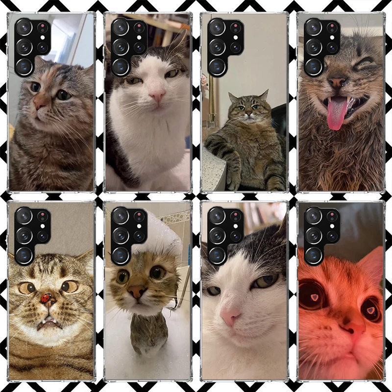 Pet Cat Funny Memes Phone Case for Samsung Galaxy S26 S25 Edge S24 S23 Ultra S22 Plus S21 FE S20 + Soft Cover Print Fundas Galax