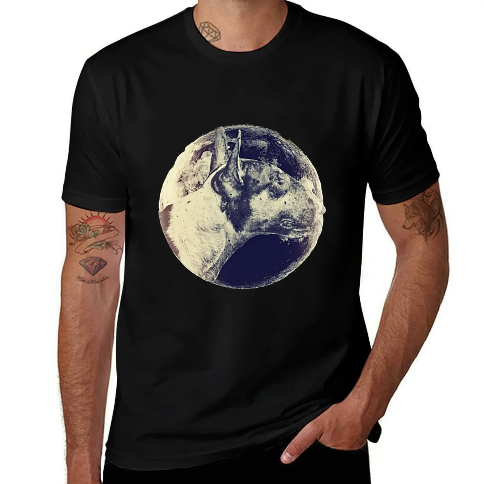 

Bull Terrier Head with Moon T-Shirt Louboutins sublime anime clothes sweat shirts, men