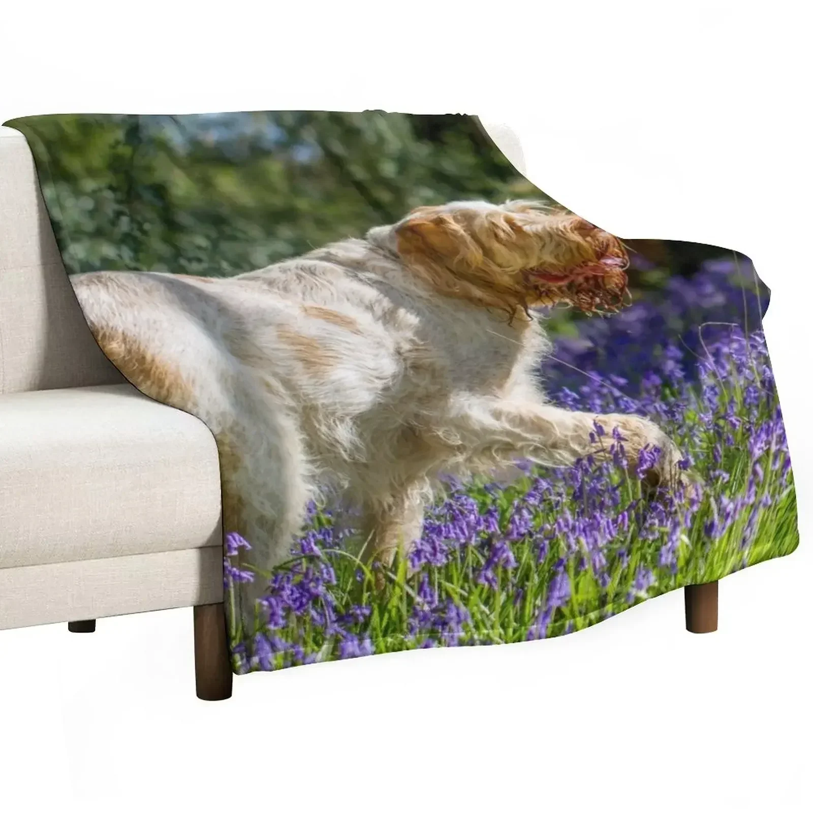 Bluebell wood Spinone Throw Blanket anime Bed Fashionable Fashion Sofas Blankets