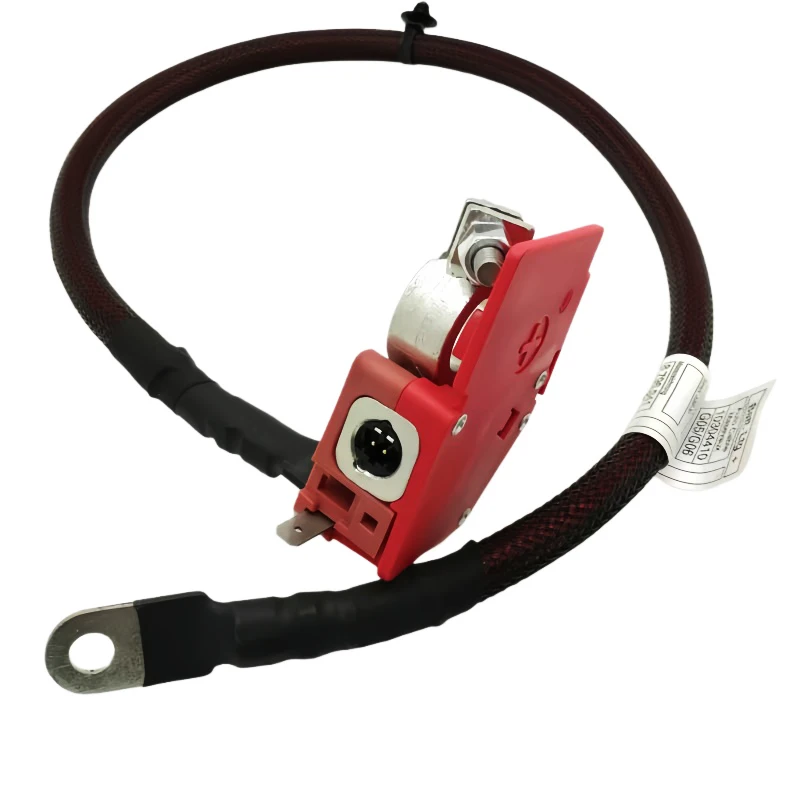 TYRNT Auto Batterij Positieve Zekering Kabel 61128795485 61128796040 Voor BMW Hybird G05 G06 G07 F95 F96 X5 X6 X7 Vervangende Onderdelen