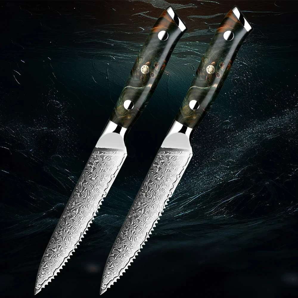 

High Quality Damascus Steel Steak Kitchen Knife Razor Sharp Edge Hotel Dinner Steak Knife Rust Resistance Stabilised Wood Handle