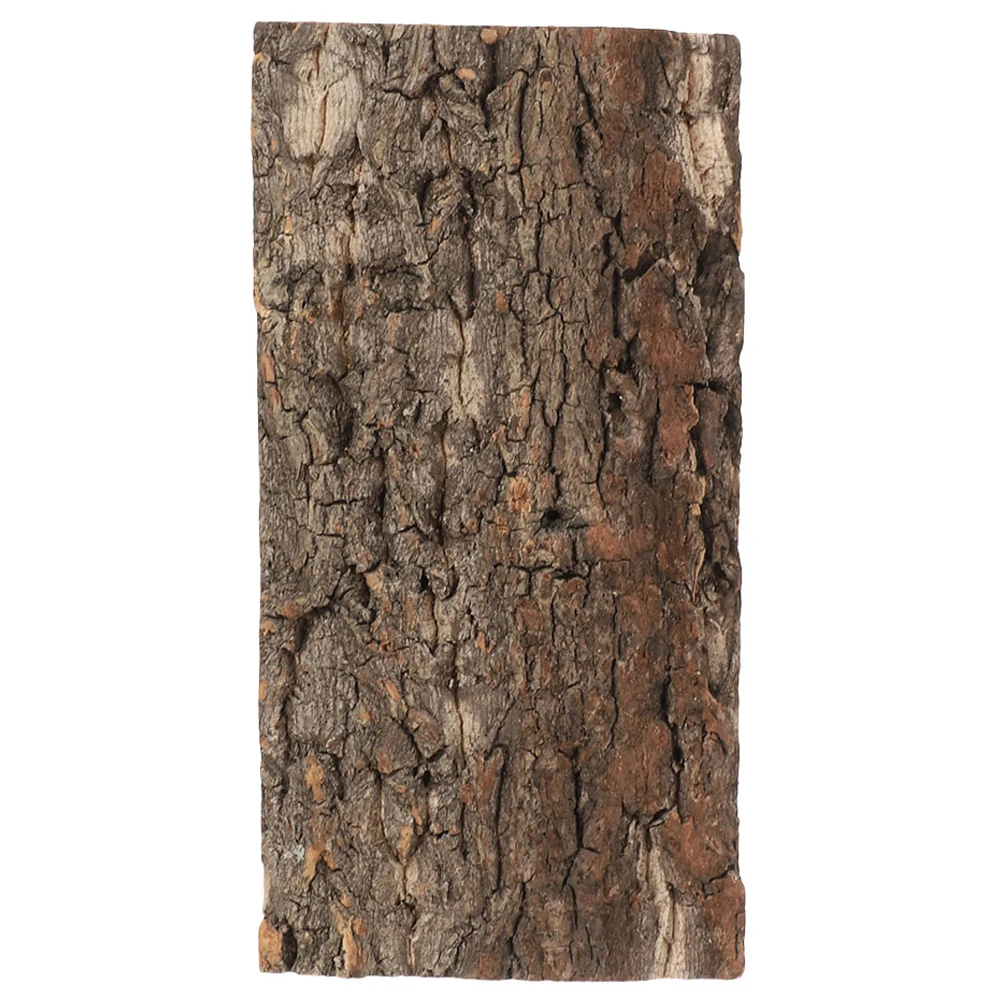 Tablero de fondo de corteza, decoración de árbol Natural de 10x20cm, terrario, tanque de reptiles, acuario de peces, escena de pared de estudio, accesorios de corcho