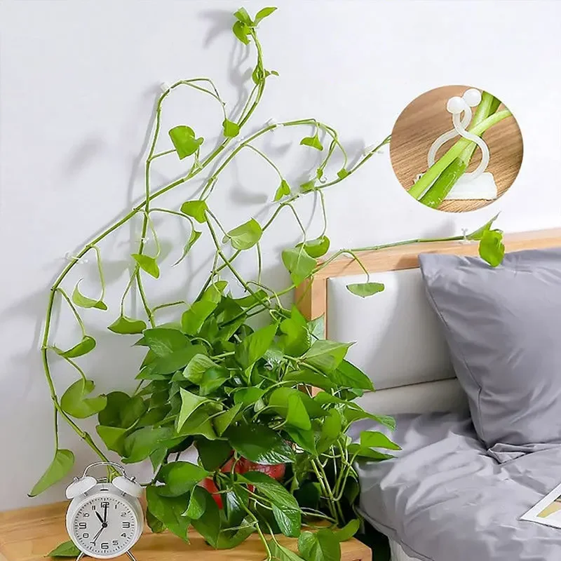 10PCS Self-Adhesive Plant Climbing Wall Fixed Buckle Hook, Home Garden Plant Climbing Wall Fixture Clips, Rattan Vine Fixer