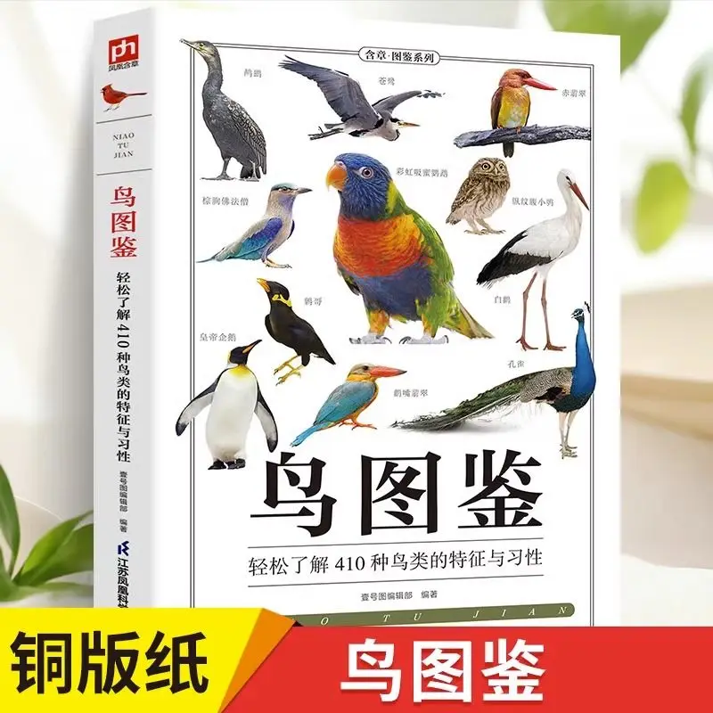 Рисунок 5 - Иллюстрационная книга птиц/иллюстрационная