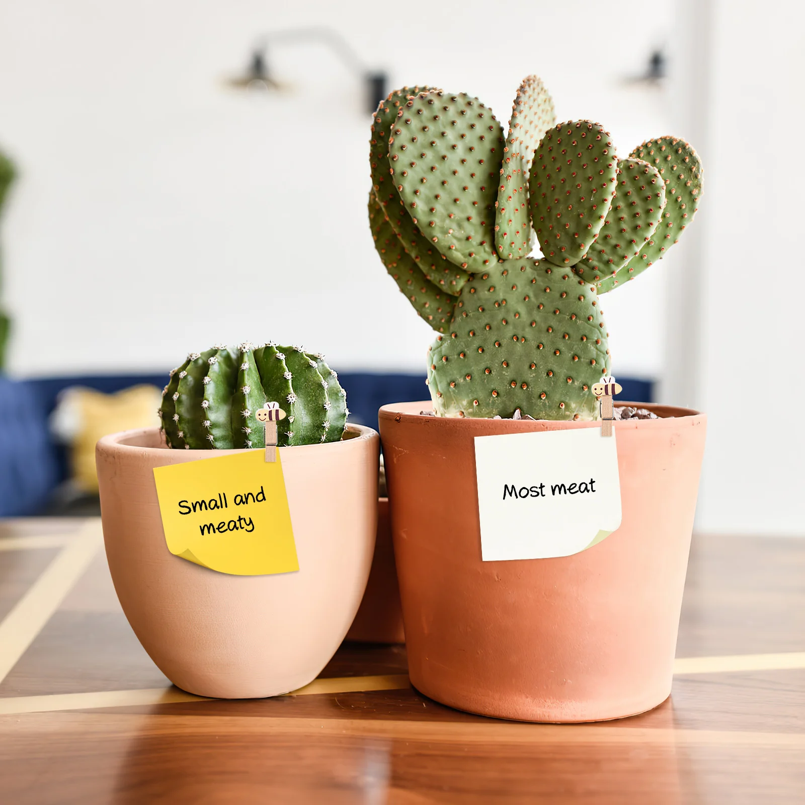 

10pcs Wooden Bee Clips Mini Natural Wood Clothespins For Photo Craft Decoration Display Party Favors Hanging Artwork Message