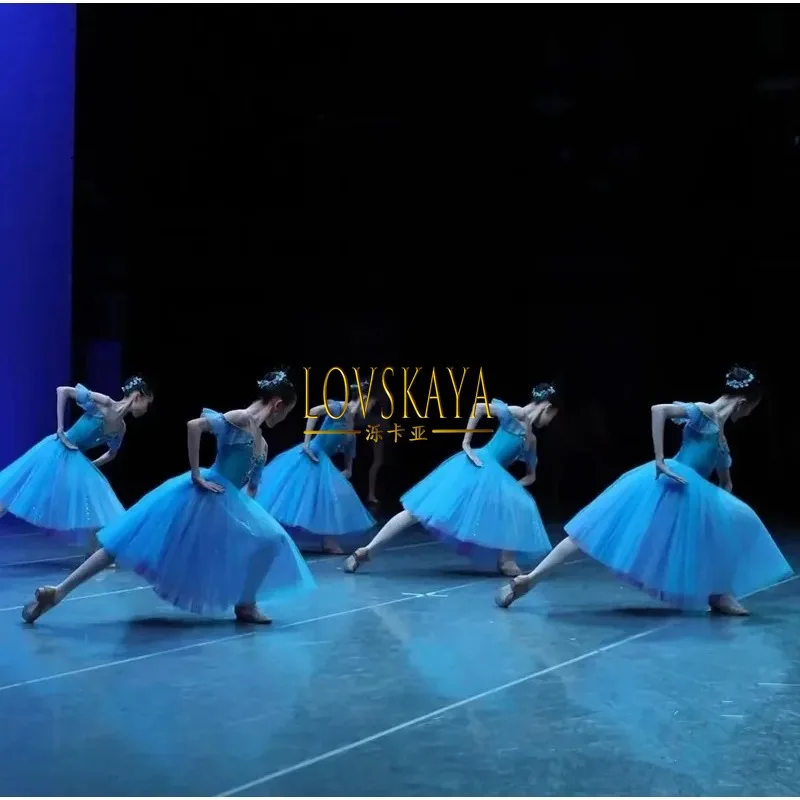 Long Romantic Blue Ballet Dress Performance Clothes Swan Lake Ballerine Children Girls Ballet Costume