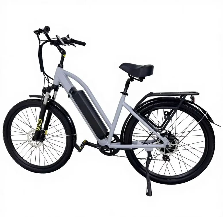 Adult Dlectric Bicy…