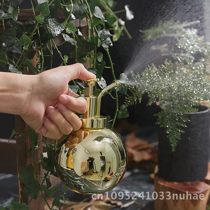 

Stainless Steel Mini Spray Kettle for Gardening Matte Black/Bright Gold/Bright Red Copper 500ML Household Watering Can Flower