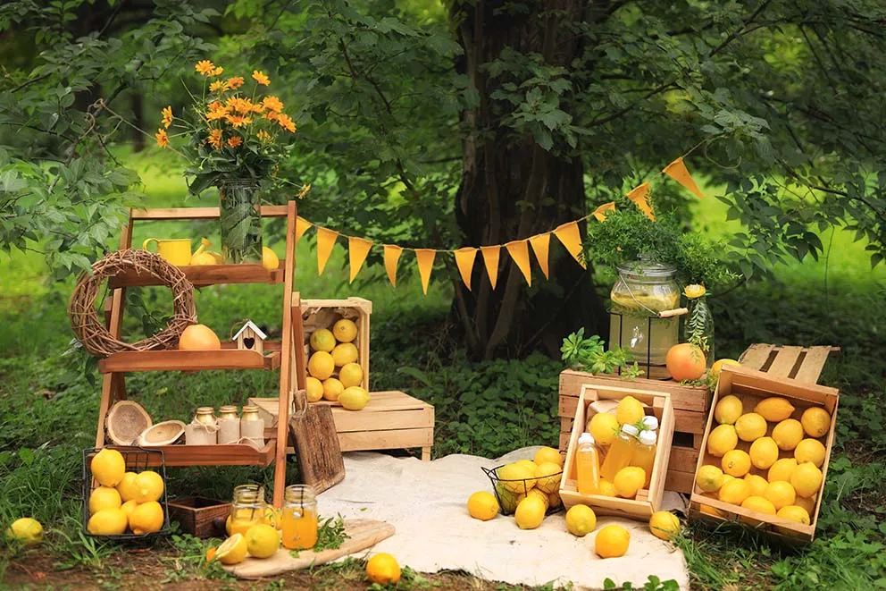 خلفية موضوع الليمون الأصفر لفتاة الصيف الرائعة عيد ميلاد سعيد ليموناد متجر حفلة التصوير خلفية خلفيات خشبية ريفية