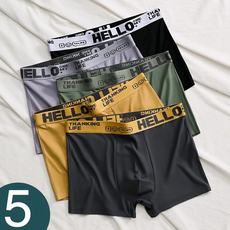 

5pcs Boxer Shorts Ice Silk Men's Underwear Summer Breathable Underpants U Convex Lingerie Breathable Sexy Panties