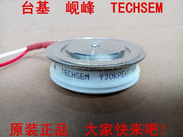 TECHSEM  Y30KPE   KP300A 1200V  100%  new and original