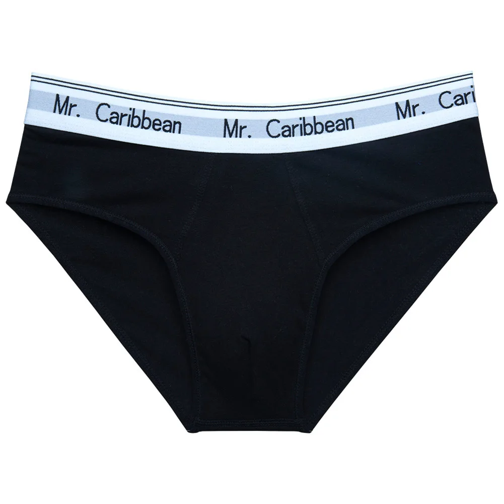 

Pouch Panties Underwear Casual Cotton High Stretch Medium Waist Regular Sexy Briefs Solid Color Daily New Stylish