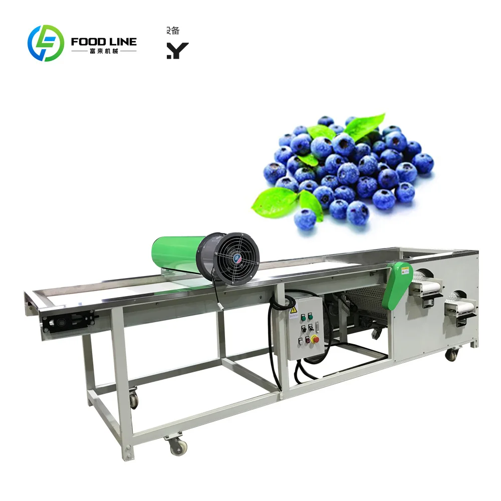 Industrial Blackberry Grader Color Damaged Blueberry Grading Machine Jujube Sorting Machine