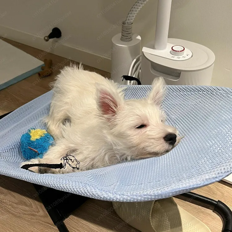 Pet Off-ground Moisture-proof Rocking Chair, Summer Breathable Mesh Pocket Cat Sleeping Mat