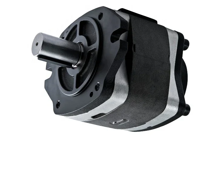 Pompa idraulica IGP-6E-125-R della pompa a ingranaggi interna di tipo servo CML delle vendite calde