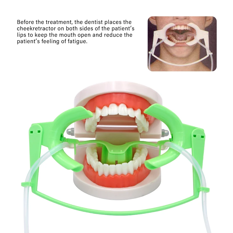 Dental Mouth Opener with Saliva Aspirator Large Adjustable Lip Cheek Retractor Dry Field System Dentistry Instrument