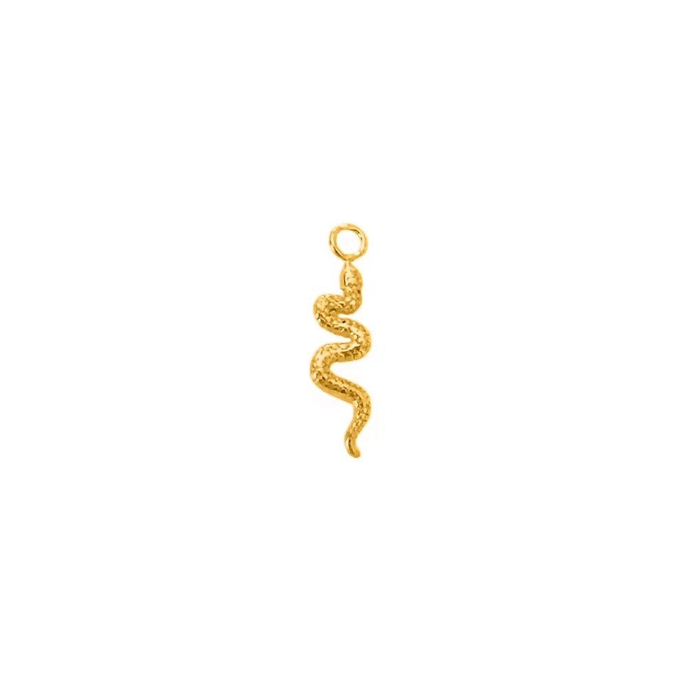 Flower Moon Butterfly Pendant Piercing Accessories Snake Bee Lightning CZ Drop Hoop Earring Jewelry 316L Surgical Steel 1.2mm
