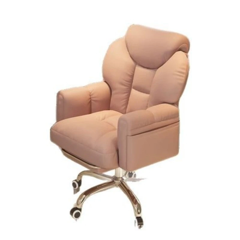 Computer Chair Home Comfort Sedentary Desk Bedroom Makeup Chair Dormitory Lazy Sofa Office