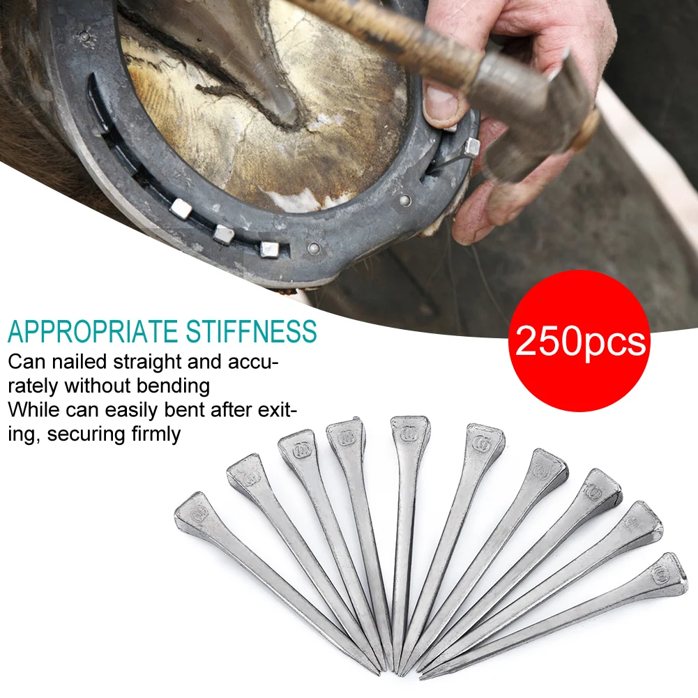 250Pcs Steel Horseshoe Nail E6 High Quality Horseshoe Nail Steel Hoof Peg Securing Firmly Horse Tool Accessory Horse Hoof Nail