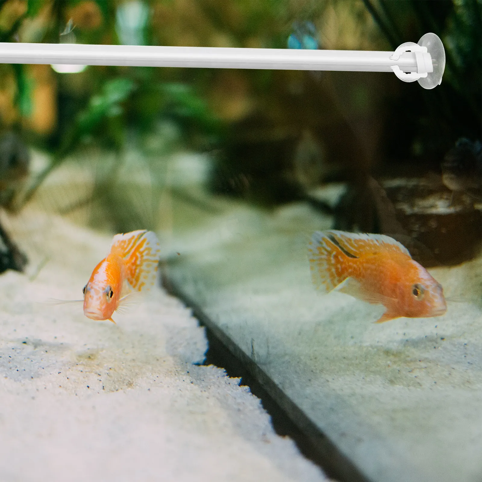 6 Pcs Aquarium Light Holder Fi - Aquarium Fish Lamp review and price